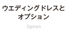 ウエディングドレスとオプション