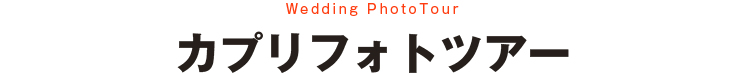 カプリフォトツアー